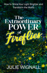 “The Extraordinary Power of Fireflies”